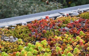 the cost of Hawsker green roof installation
