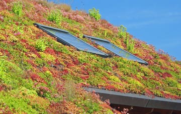 Hawsker living roof systems