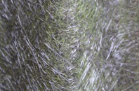 Hawsker fibreglass roof work